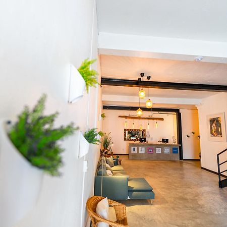 Juliette Hostel Digital Nomad Women Only 圣胡安 外观 照片